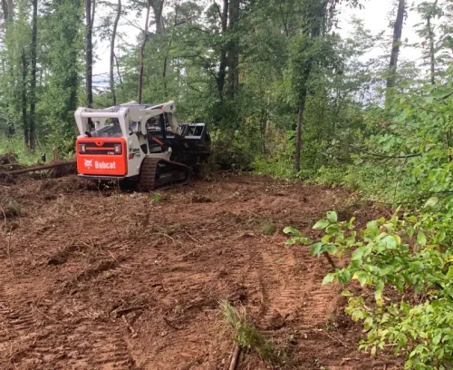 land clearing grading removing bush bottom walnut cove nc